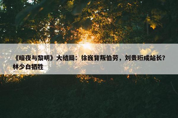 《暗夜与黎明》大结局：徐巍背叛伯劳，刘贵珩成站长？林少白牺牲