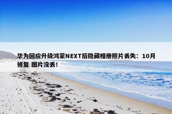 华为回应升级鸿蒙NEXT后隐藏相册照片丢失：10月修复 图片没丢！