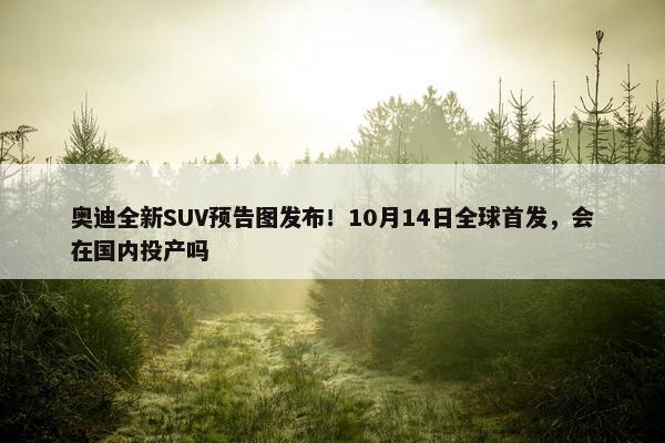 奥迪全新SUV预告图发布！10月14日全球首发，会在国内投产吗