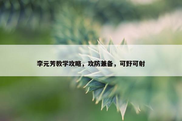 李元芳教学攻略，攻防兼备，可野可射