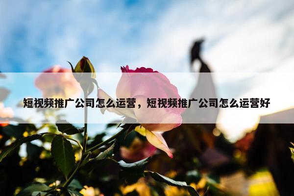 短视频推广公司怎么运营，短视频推广公司怎么运营好