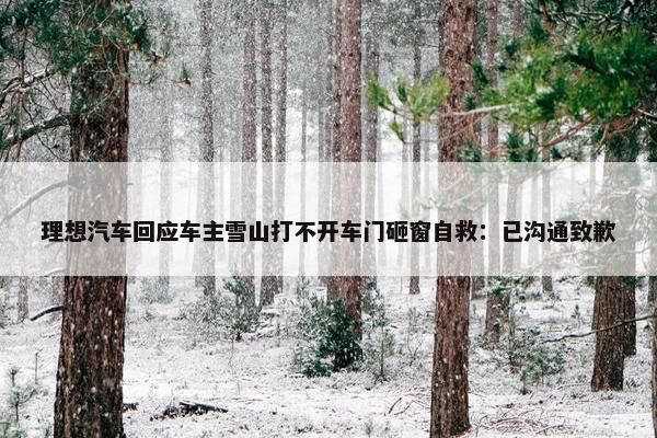 理想汽车回应车主雪山打不开车门砸窗自救：已沟通致歉