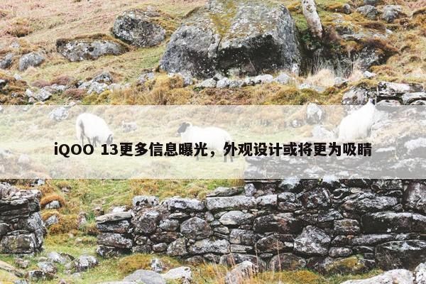 iQOO 13更多信息曝光，外观设计或将更为吸睛