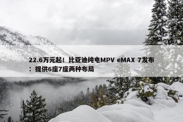 22.6万元起！比亚迪纯电MPV eMAX 7发布：提供6座7座两种布局