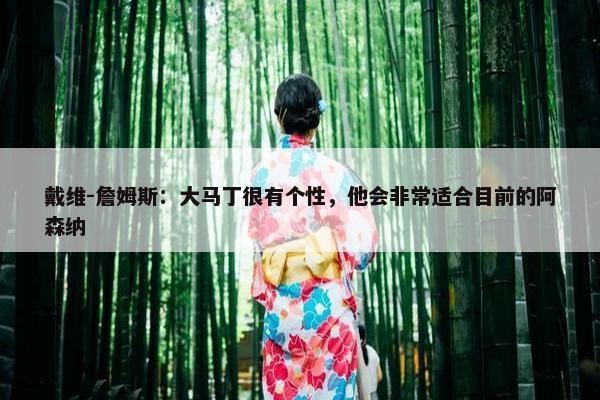 戴维-詹姆斯：大马丁很有个性，他会非常适合目前的阿森纳