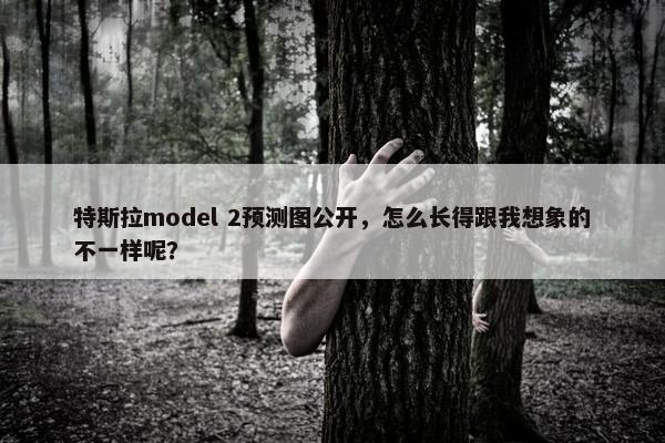 特斯拉model 2预测图公开，怎么长得跟我想象的不一样呢？