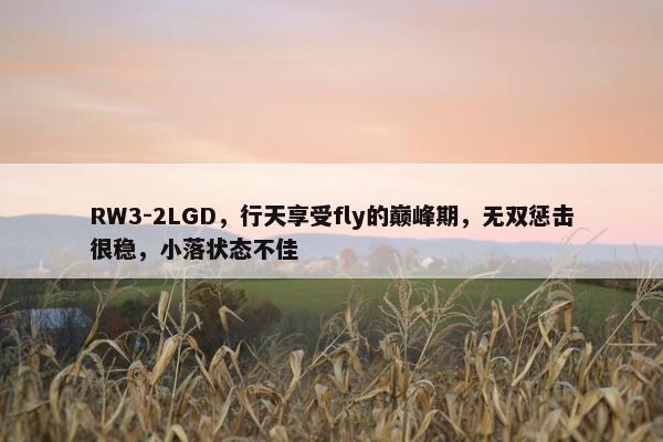 RW3-2LGD，行天享受fly的巅峰期，无双惩击很稳，小落状态不佳