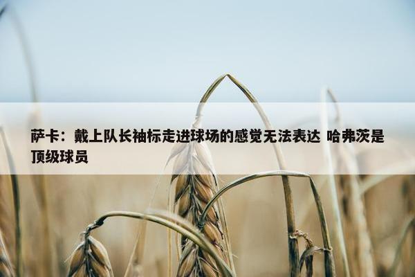 萨卡：戴上队长袖标走进球场的感觉无法表达 哈弗茨是顶级球员