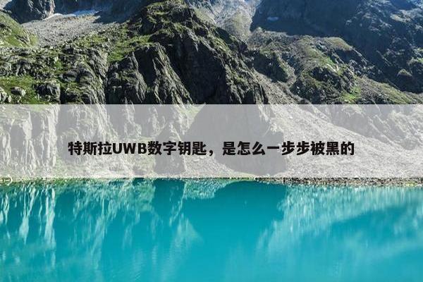 特斯拉UWB数字钥匙，是怎么一步步被黑的