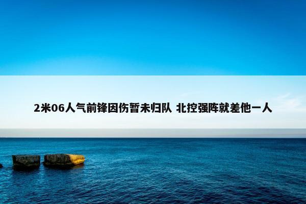 2米06人气前锋因伤暂未归队 北控强阵就差他一人