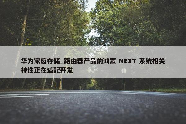 华为家庭存储_路由器产品的鸿蒙 NEXT 系统相关特性正在适配开发