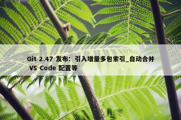 Git 2.47 发布：引入增量多包索引_自动合并 VS Code 配置等