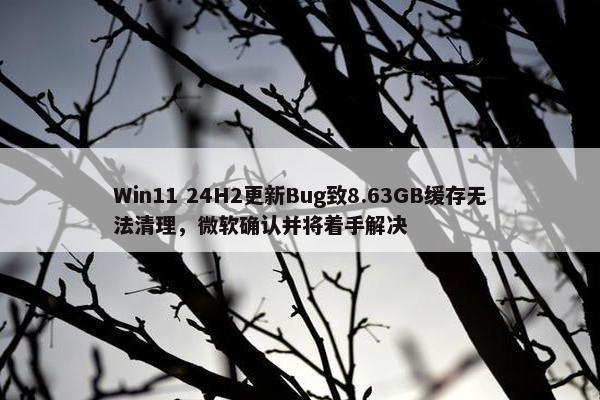 Win11 24H2更新Bug致8.63GB缓存无法清理，微软确认并将着手解决