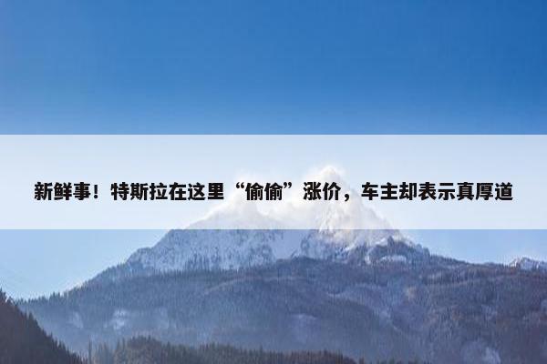 新鲜事！特斯拉在这里“偷偷”涨价，车主却表示真厚道