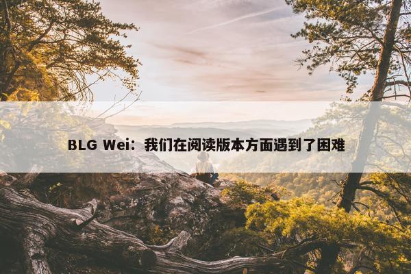 BLG Wei：我们在阅读版本方面遇到了困难