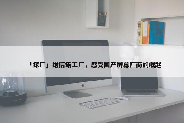 「探厂」维信诺工厂，感受国产屏幕厂商的崛起