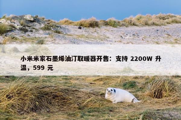 小米米家石墨烯油汀取暖器开售：支持 2200W 升温，599 元