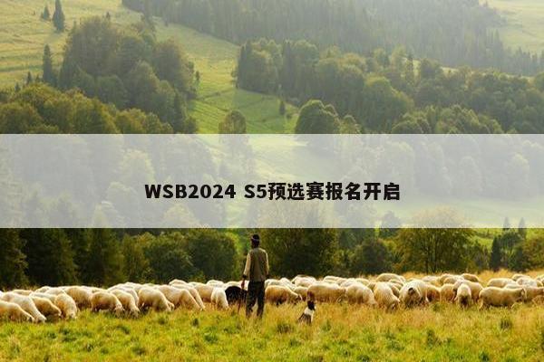 WSB2024 S5预选赛报名开启