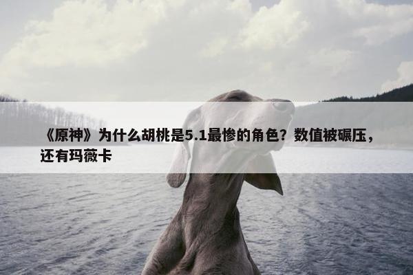 《原神》为什么胡桃是5.1最惨的角色？数值被碾压，还有玛薇卡