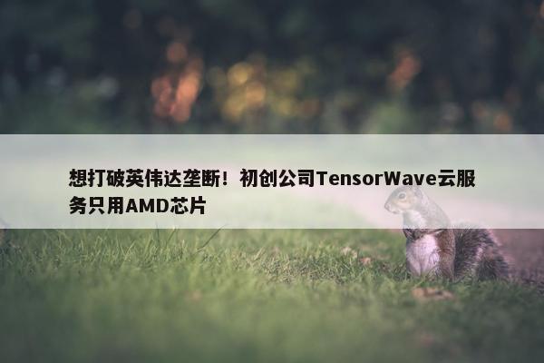 想打破英伟达垄断！初创公司TensorWave云服务只用AMD芯片