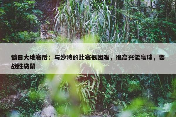 镰田大地赛后：与沙特的比赛很困难，很高兴能赢球，要战胜袋鼠