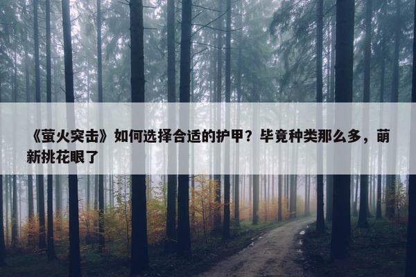 《萤火突击》如何选择合适的护甲？毕竟种类那么多，萌新挑花眼了