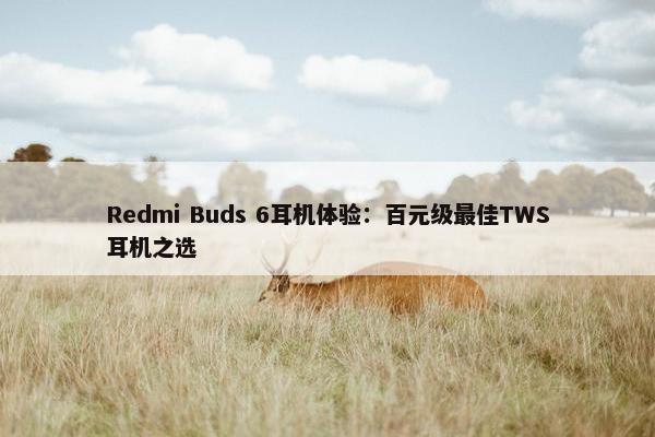 Redmi Buds 6耳机体验：百元级最佳TWS耳机之选