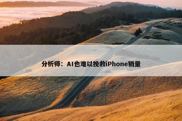 分析师：AI也难以挽救iPhone销量