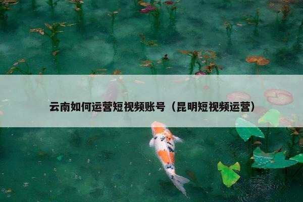 云南如何运营短视频账号（昆明短视频运营）