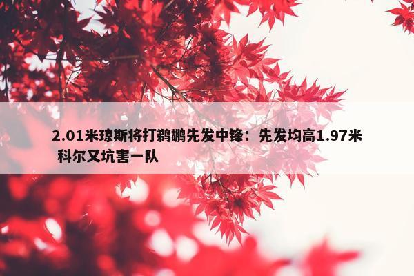 2.01米琼斯将打鹈鹕先发中锋：先发均高1.97米 科尔又坑害一队