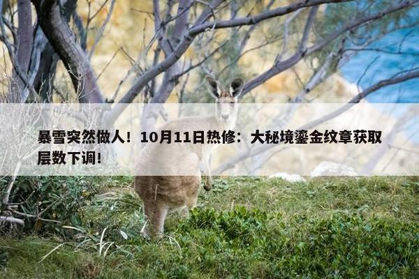 暴雪突然做人！10月11日热修：大秘境鎏金纹章获取层数下调！