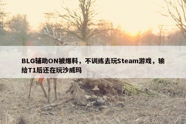 BLG辅助ON被爆料，不训练去玩Steam游戏，输给T1后还在玩沙威玛