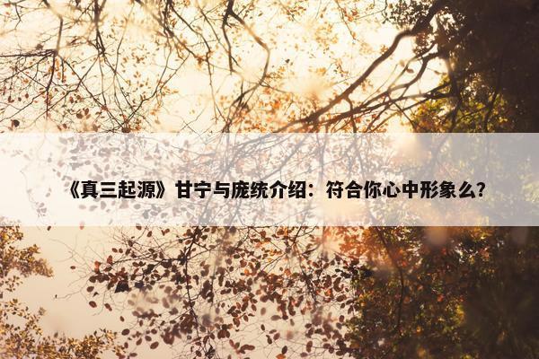 《真三起源》甘宁与庞统介绍：符合你心中形象么？