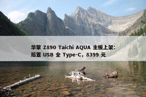 华擎 Z890 Taichi AQUA 主板上架：后置 USB 全 Type-C，8399 元