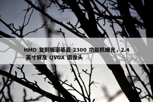 HMD 复刻版诺基亚 2300 功能机曝光，2.4 英寸屏及 QVGA 摄像头