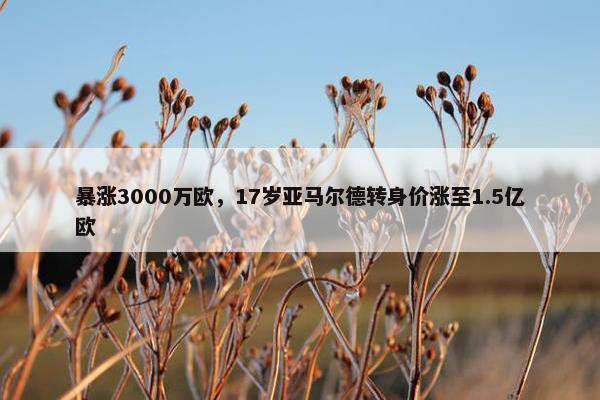 暴涨3000万欧，17岁亚马尔德转身价涨至1.5亿欧