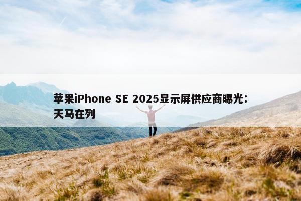 苹果iPhone SE 2025显示屏供应商曝光：天马在列