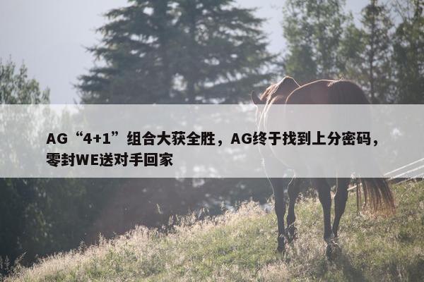 AG“4+1”组合大获全胜，AG终于找到上分密码，零封WE送对手回家