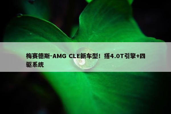 梅赛德斯-AMG CLE新车型！搭4.0T引擎+四驱系统