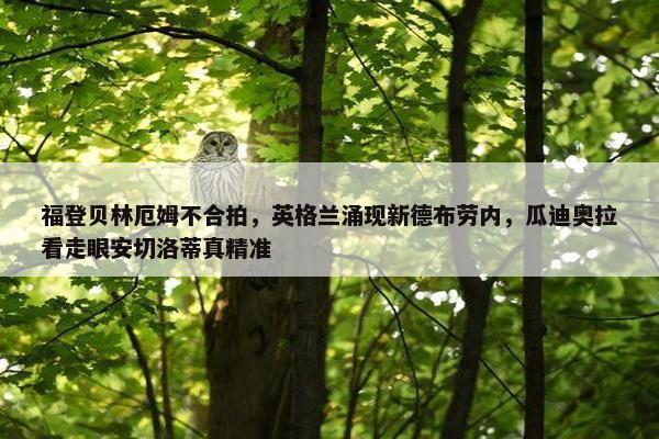 福登贝林厄姆不合拍，英格兰涌现新德布劳内，瓜迪奥拉看走眼安切洛蒂真精准