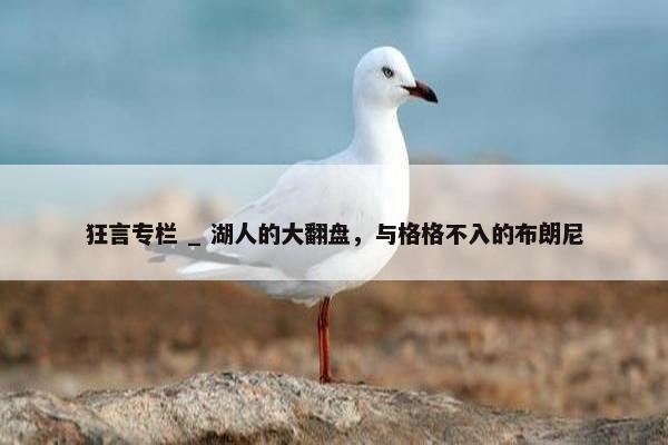 狂言专栏 _ 湖人的大翻盘，与格格不入的布朗尼