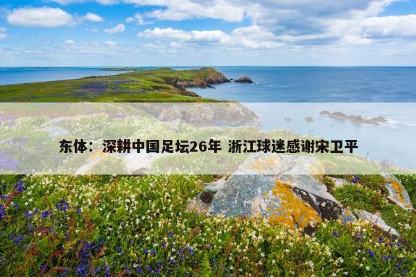 东体：深耕中国足坛26年 浙江球迷感谢宋卫平