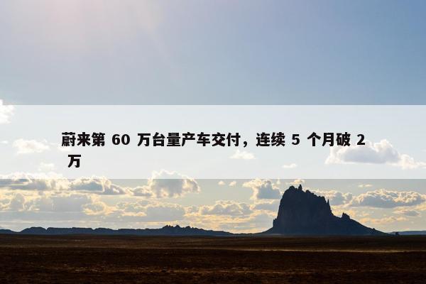 蔚来第 60 万台量产车交付，连续 5 个月破 2 万