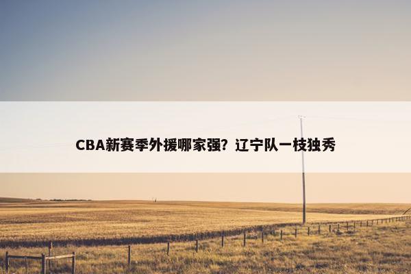 CBA新赛季外援哪家强？辽宁队一枝独秀