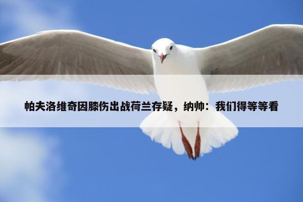 帕夫洛维奇因膝伤出战荷兰存疑，纳帅：我们得等等看