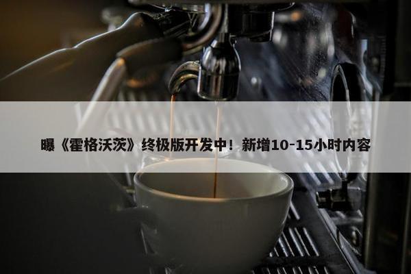 曝《霍格沃茨》终极版开发中！新增10-15小时内容