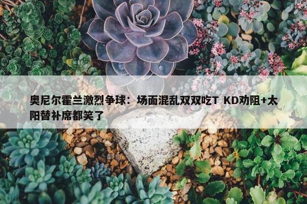 奥尼尔霍兰激烈争球：场面混乱双双吃T KD劝阻+太阳替补席都笑了