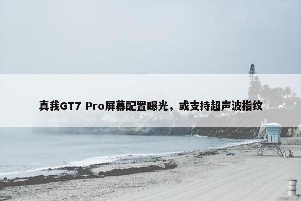 真我GT7 Pro屏幕配置曝光，或支持超声波指纹