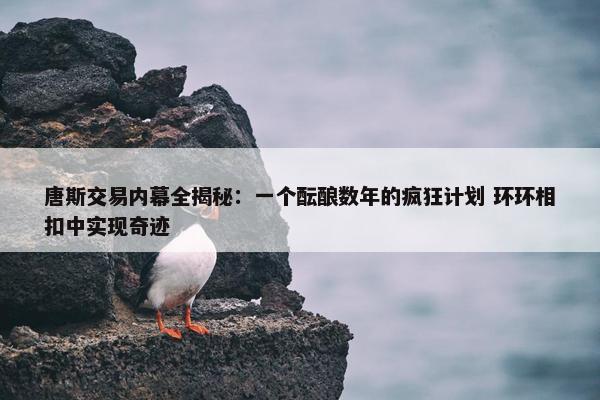 唐斯交易内幕全揭秘：一个酝酿数年的疯狂计划 环环相扣中实现奇迹