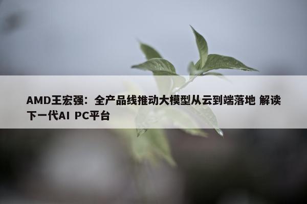 AMD王宏强：全产品线推动大模型从云到端落地 解读下一代AI PC平台